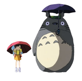 shadow totoro